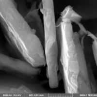 Ultrafine Iron Flake Cf02 under the microscope